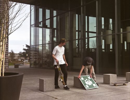 Wallies and sunshine